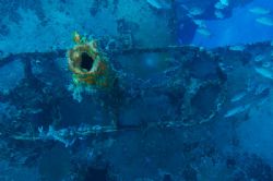 Interesting tube protruding from a shipwreck that shows c... by Dale Hymes 